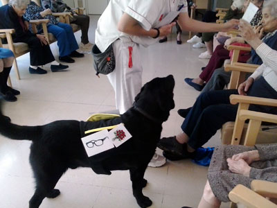 TERAPIA ASISTIDA CON PERROS